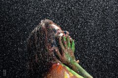 MAJOSE-32-copia-scaled