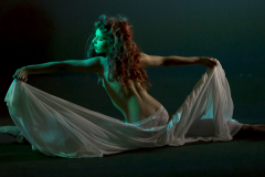 IRIS-1-de-1-9-1010