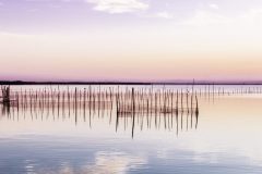 ALBUFERA-VLC-6-hd-1-19-scaled