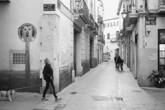 LE-CARMEN-VLC-0215
