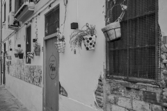 LE-CARMEN-VLC-0236