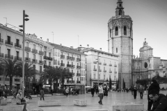 LE-CARMEN-VLC-0254