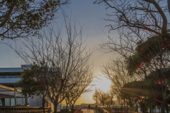PORT-VLC-0136